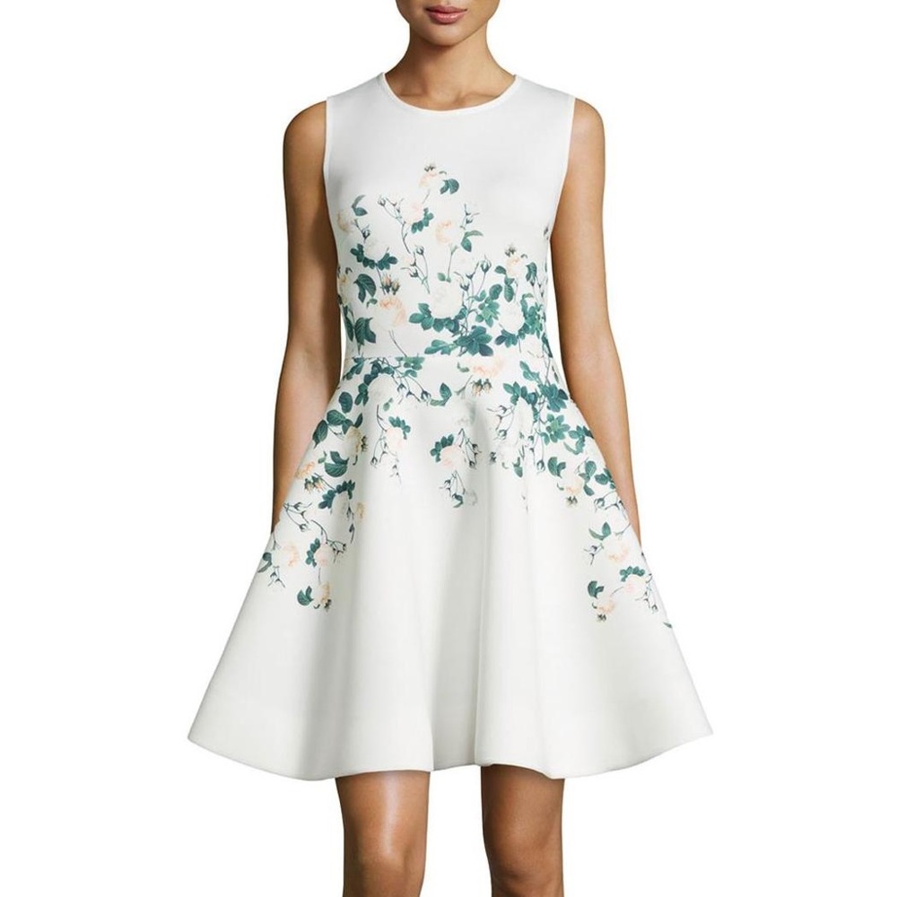 Erin Fetherston Sweetheart Roses Dress